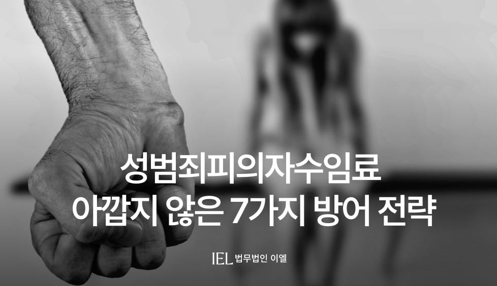 성범죄피의자수임료